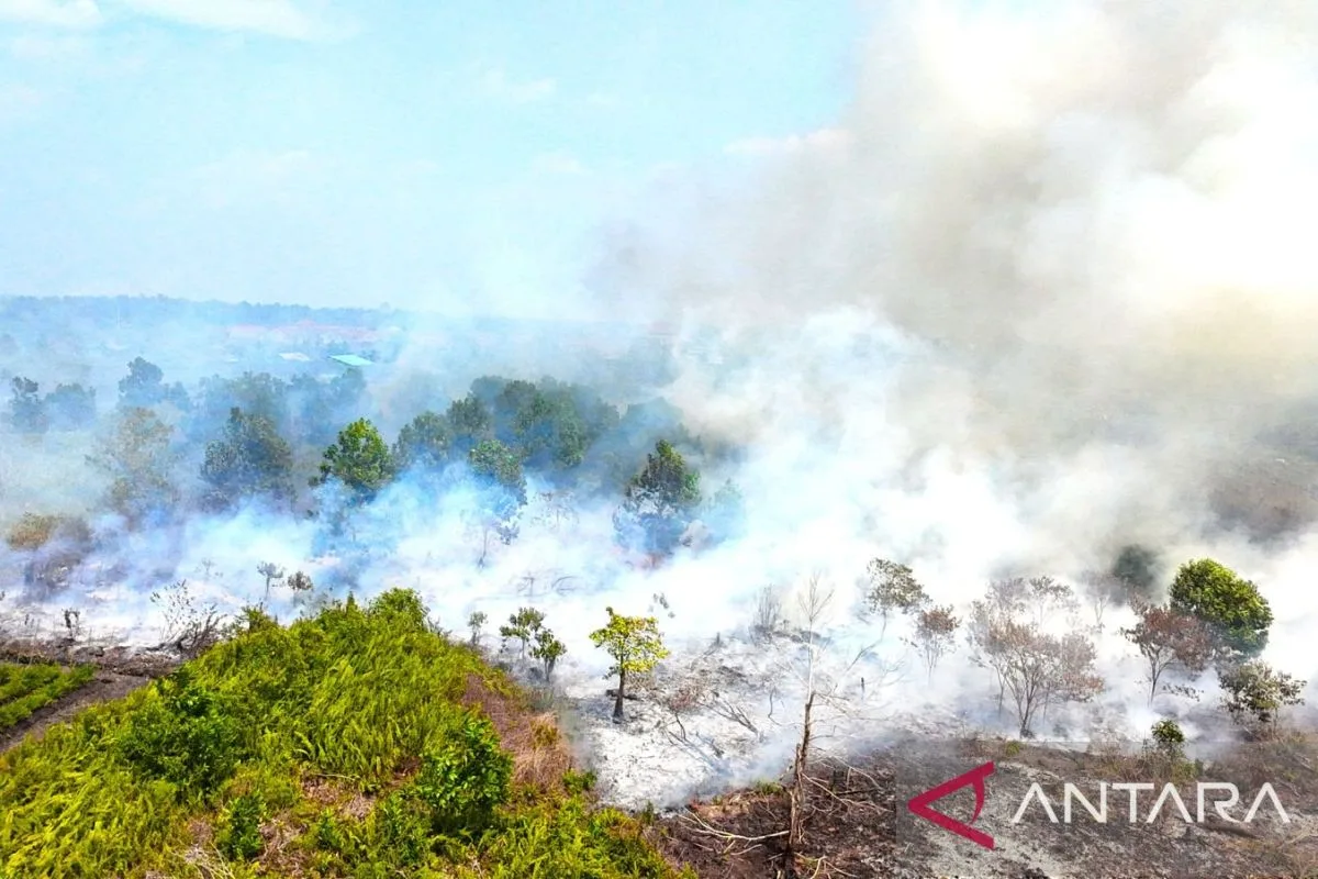 Karhutla Gambut: Pemerintah Andalkan Operasi Darat, Modifikasi Cuaca Jadi Penyelamat