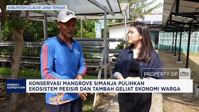 Dari Lahan Gundul ke Ekowisata: Simanja Buktikan Mangrove Bisa Jadi Motor Ekonomi Pesisir