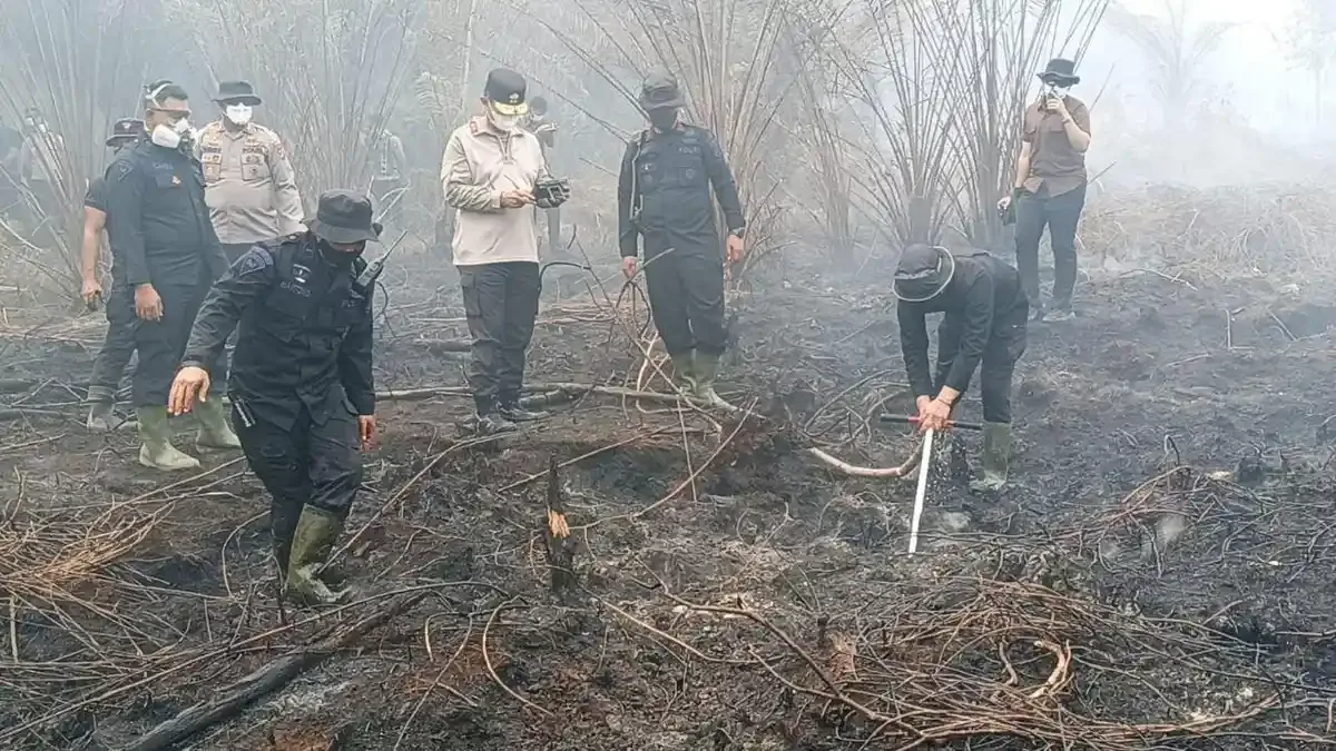 Prabowo Desak Nama Korporasi Pembakar Hutan Segera Dibuka: Sanksi Pidana Mengintai