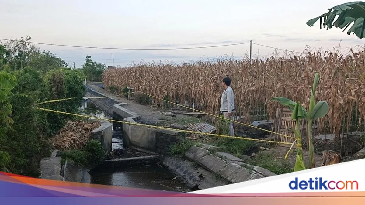 Main Hakim Sendiri di Banyuwangi: Pencuri Jeruk Tewas Dikeroyok Massa