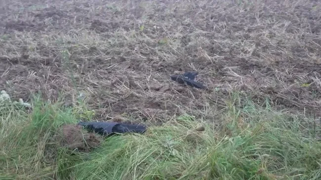 NATO Tembak Jatuh Drone Misterius di Lithuania, Sinyal Baru Ketegangan Rusia-Eropa