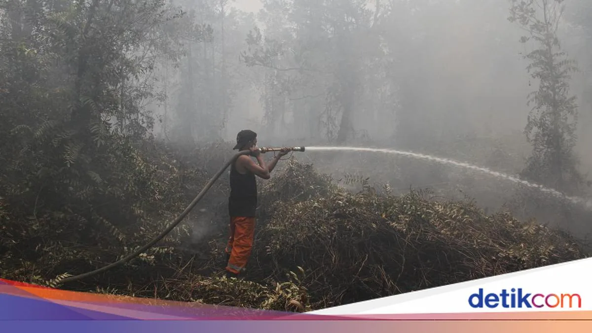 Karhutla Kapuas Belum Padam, Status Darurat Kembali Diperpanjang hingga 29 September