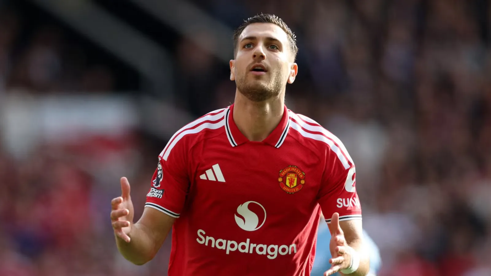 Manchester United in Crisis: Zirkzee, Dorgu, and Dalot as Symbols of INEOS Failure?