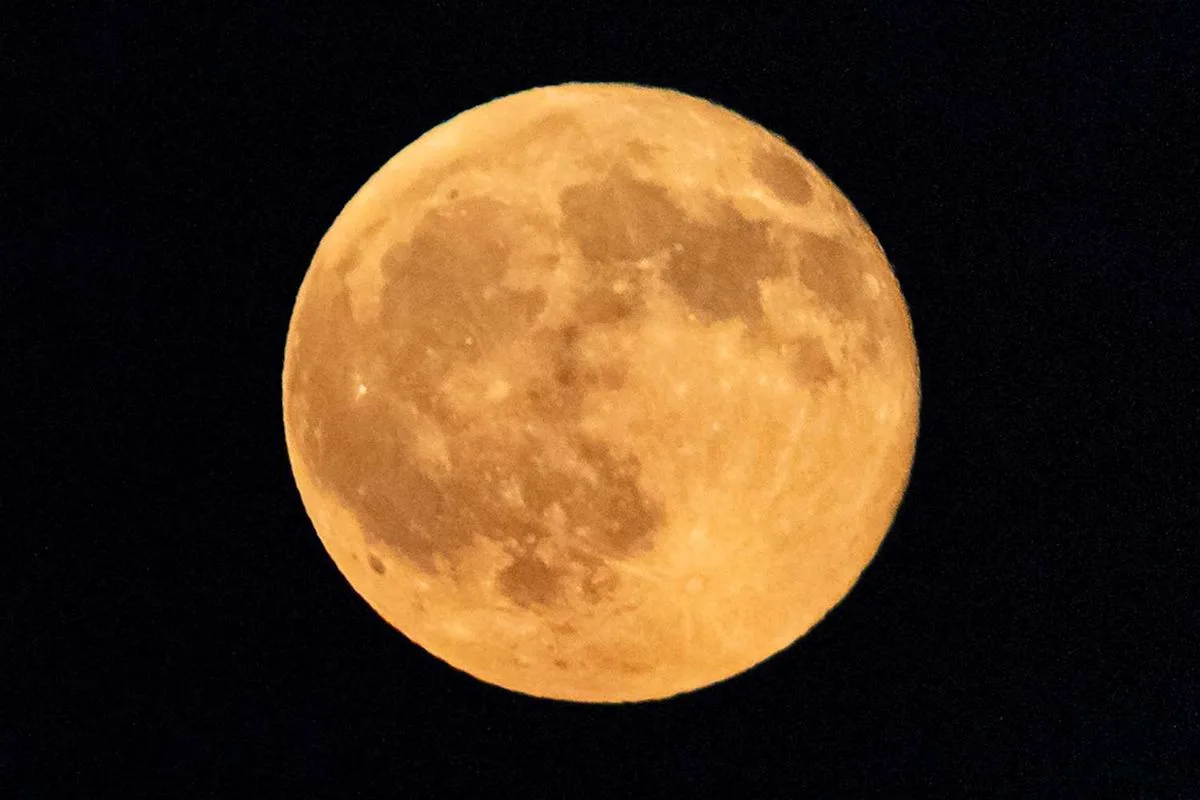 Venus and Harvest Moon Adorn This Week's Sky, Visible Without a Telescope