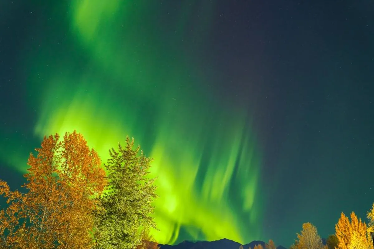 Aurora Borealis Kembali Terlihat di 10 Negara Bagian AS, Ilmuwan: 2026 Peluang Terbaik