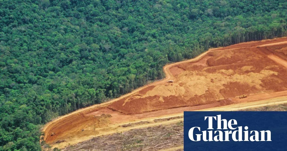 FAO Peringatkan Jendela Restorasi Hutan Dunia Makin Sempit, Indonesia Diminta Waspada