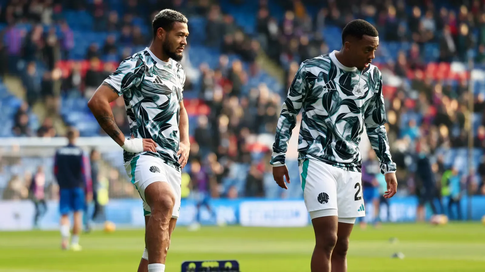 Newcastle United di Persimpangan: Joelinton dan Willock Terancam, Lamine Camara Jadi Target