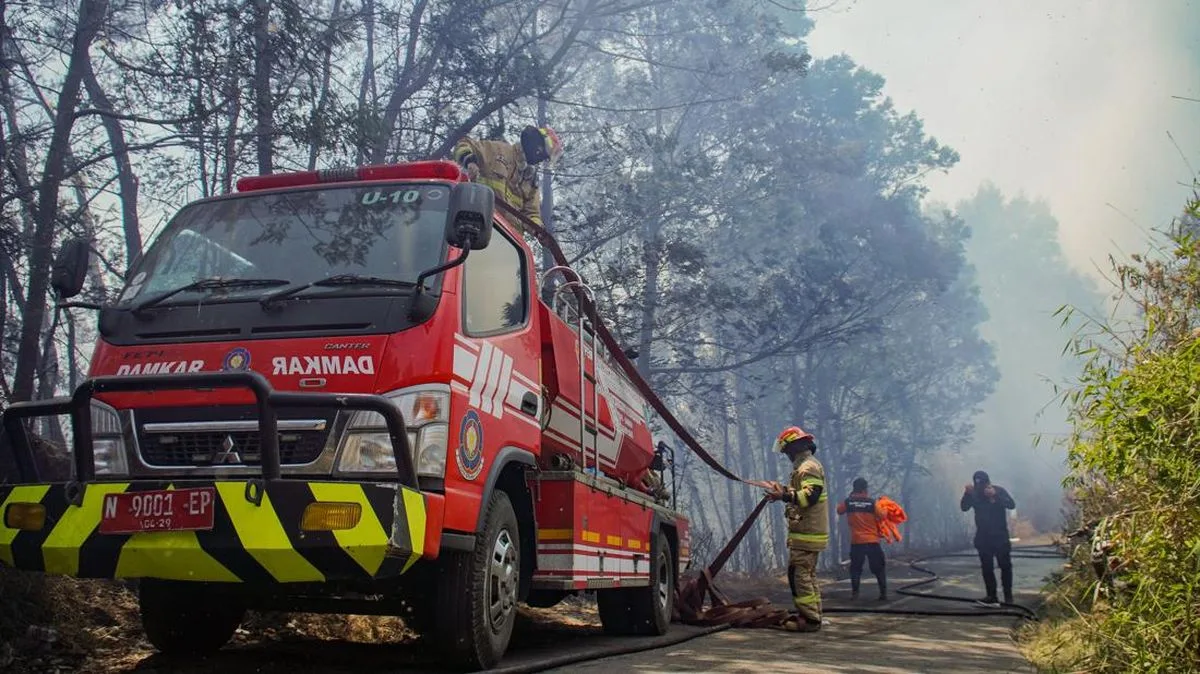 Tragedi Damkar Pangkep: Dua Personel Tewas Saat Melaju ke Lokasi Kebakaran Lahan