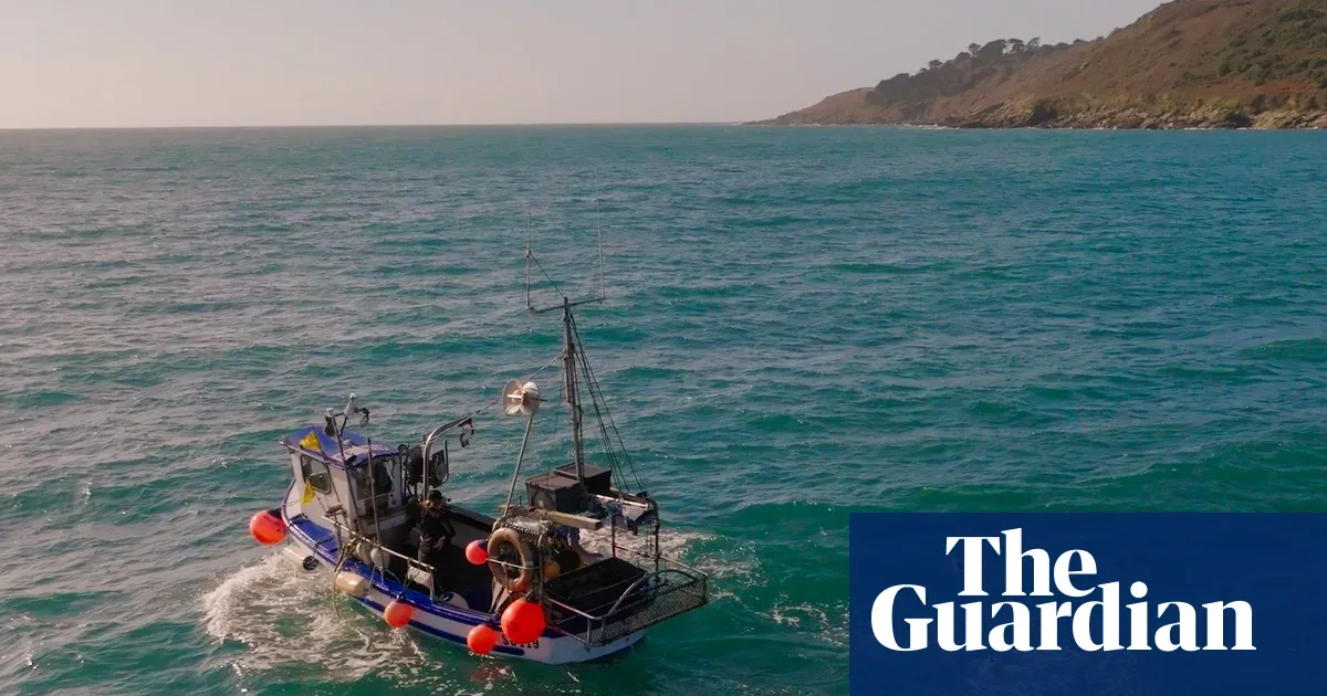 Nelayan Cornwall Uji 'Orang-orangan Sawah' Apung untuk Selamatkan Burung Laut dari Jaring