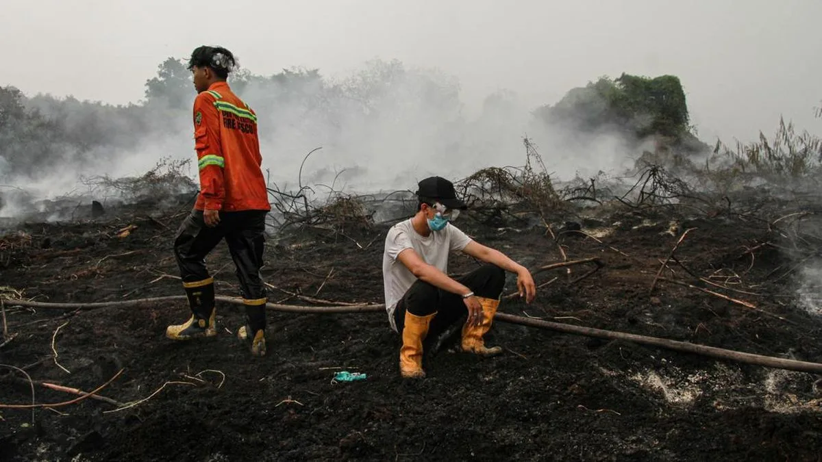 Honor for Palangka Raya Forest Fire Volunteers Overdue, Budget at Risk of Going Negative