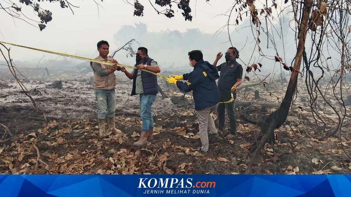 Karhutla Kalimantan Meluas, BNPB Kerahkan 58.918 Personel dan 38 Helikopter Water Bombing