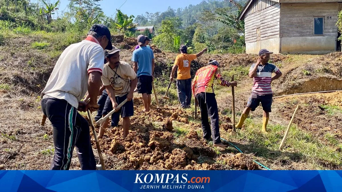 Gotong Royong di Mamasa: Jembatan Kayu dan Jalan 100 Meter yang Selamatkan Mutu Kopi Transmigran