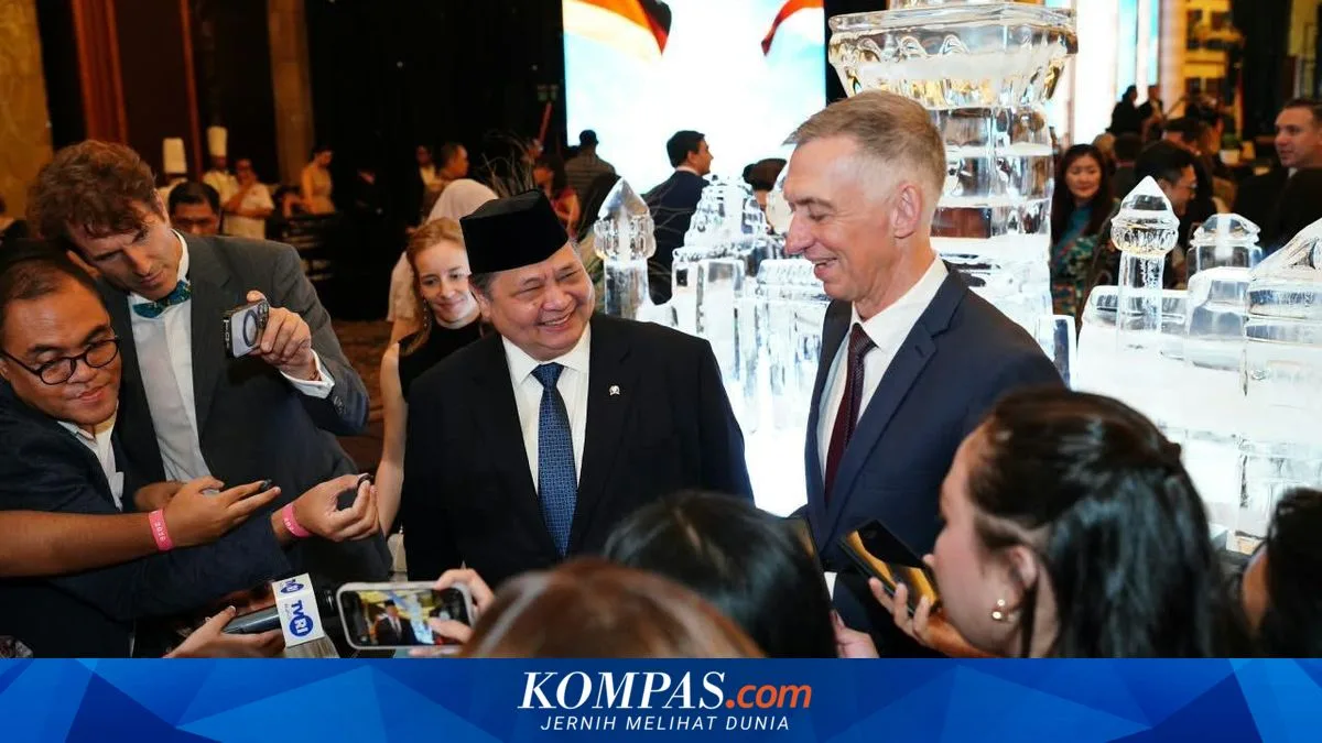 74 Tahun Indonesia-Jerman: Airlangga Pede Jerman Bakal Genjot Investasi di Sektor Energi dan Semikonduktor
