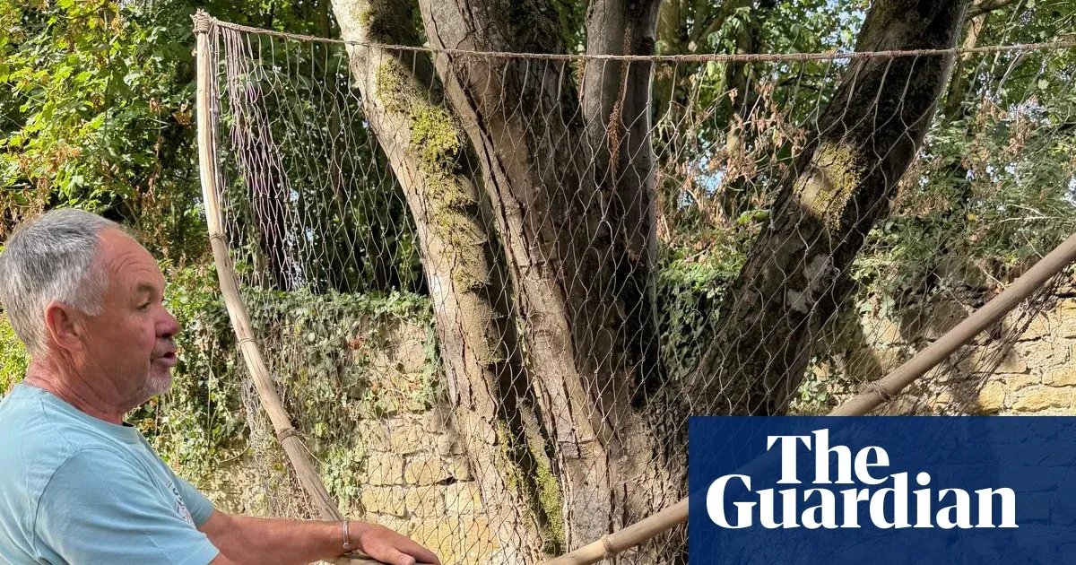 Tradisi Jaring Lave di Sungai Severn Terancam Punah, Penangkapan Salmon Nol Sejak 2019