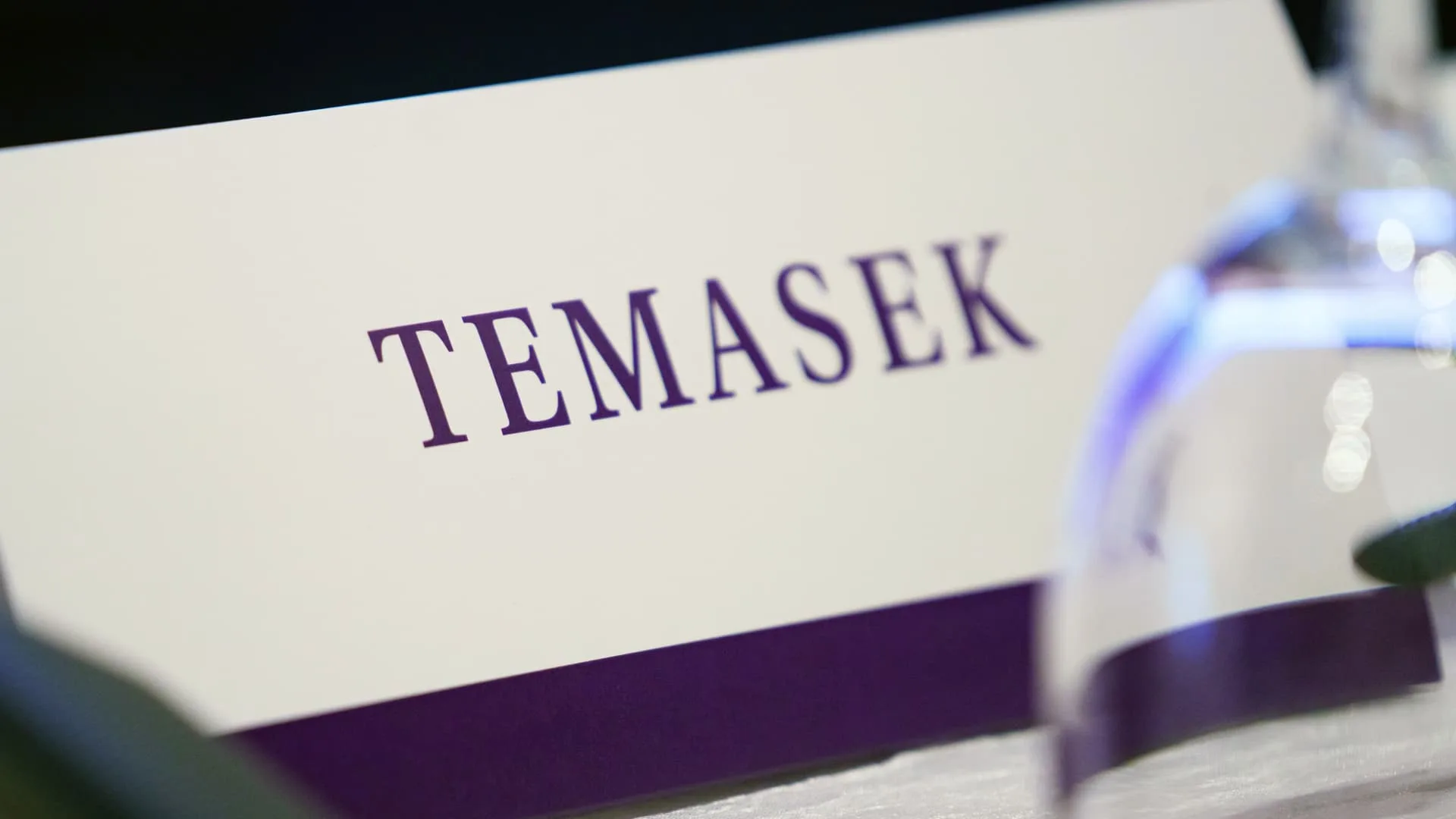Temasek Peringatkan Risiko Terbesar Pasar Global: Pembalikan Tren AI