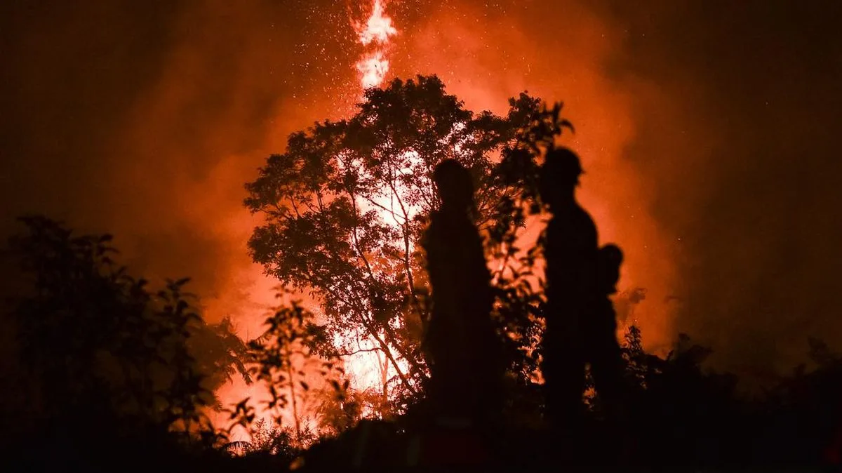 Kabut Asap Karhutla Jambi Memburuk, Operasi Modifikasi Cuaca Baru Digelar 9-10 Oktober