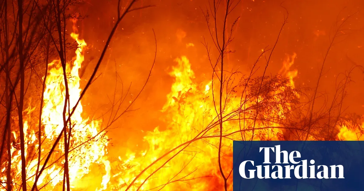 Studi Ungkap 'Lingkaran Setan' Kebakaran Hutan Australia Berakar dari Kolonisasi 1788