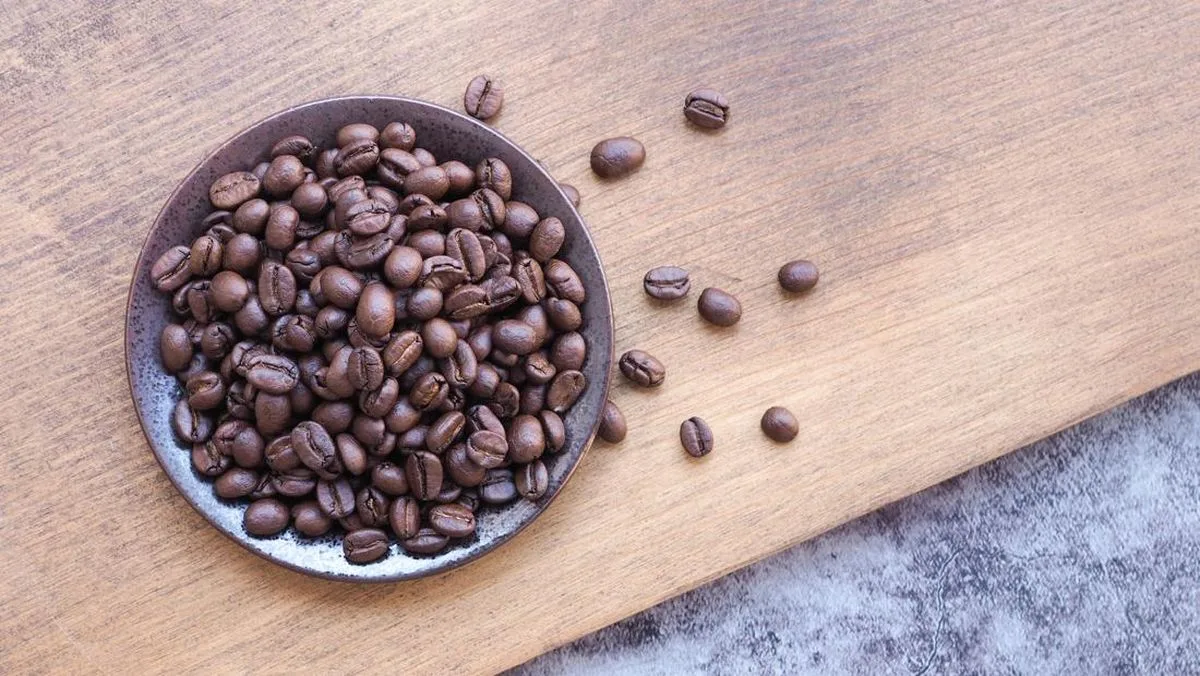 Kopi Gayo 3 Ditanam di Lereng Merapi, Klaten Incar Panen Premium