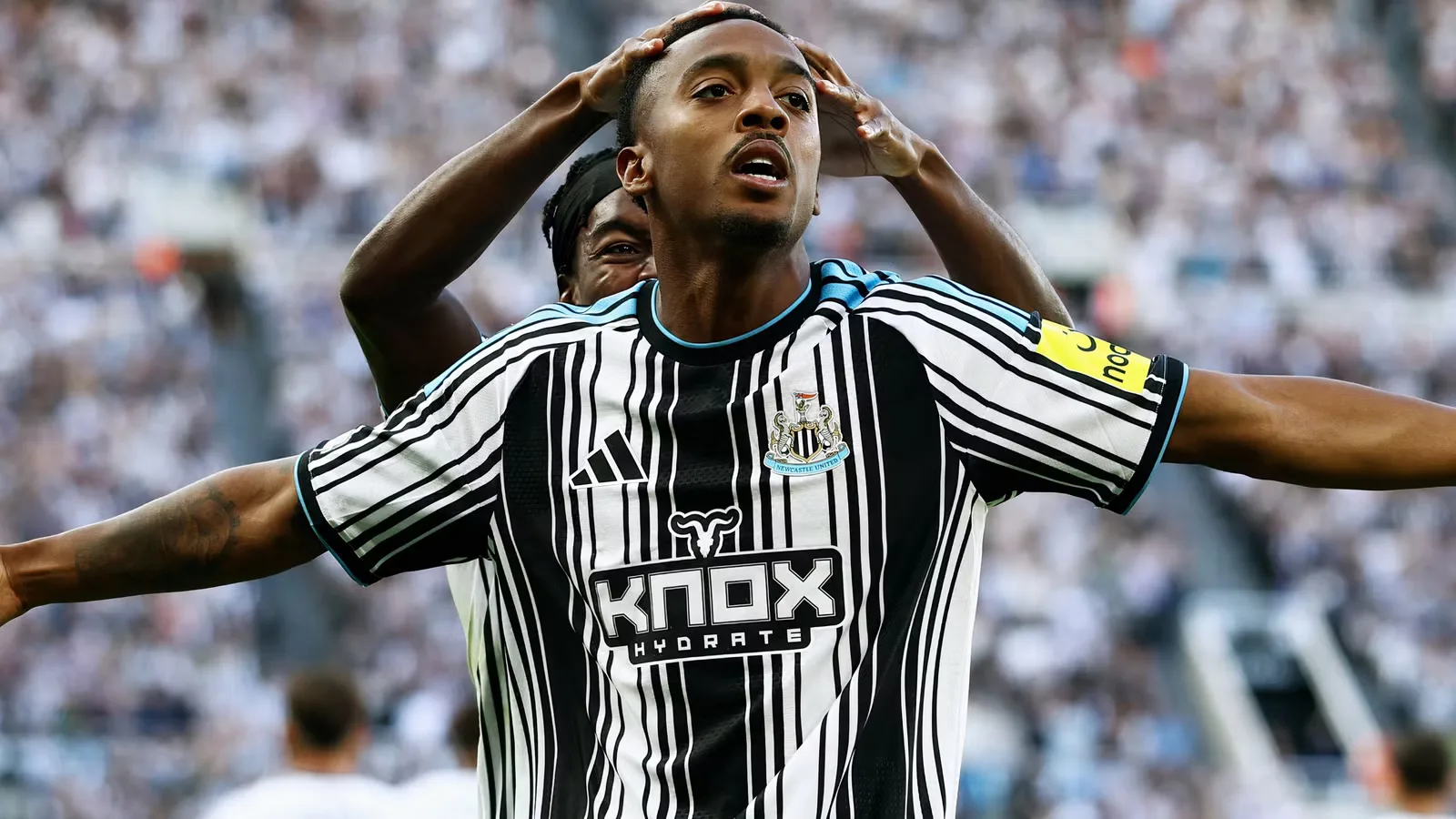 Newcastle at a Crossroads: Keep Willock or Sell Woltemade?