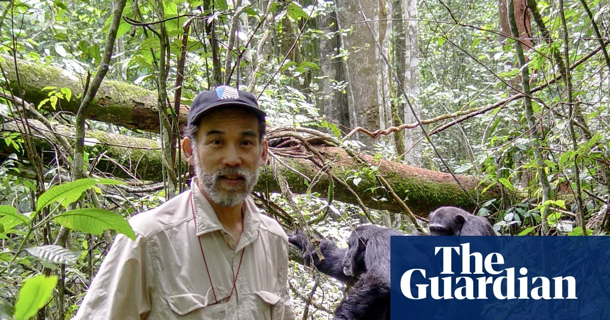 Perang Saudara Simpanse di Uganda: Ketika Primatolog Menahan Diri Menuliskan Temuan yang Mengguncang
