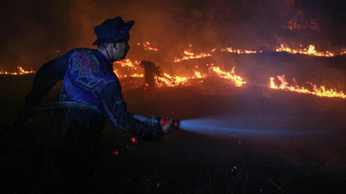 793 Titik Api Karhutla Kepung Indonesia, Kalimantan Tengah Jadi Episentrum