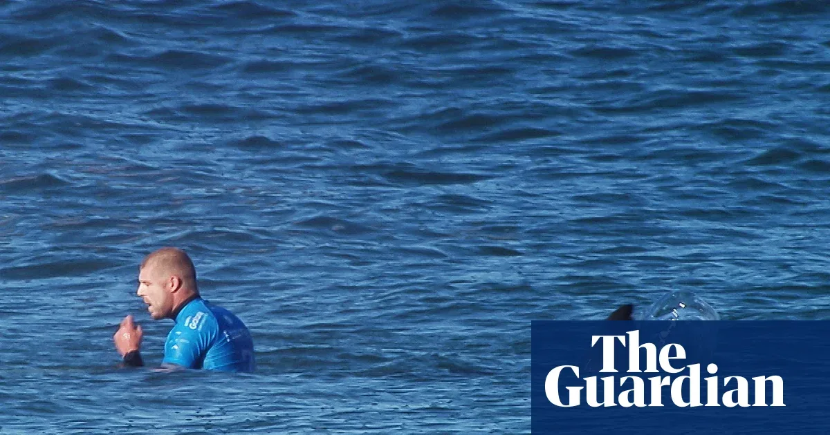 Mick Fanning, Pukulan ke Hiu Putih, dan Sepuluh Tahun yang Mengubah Cara Dunia Melihat Osean