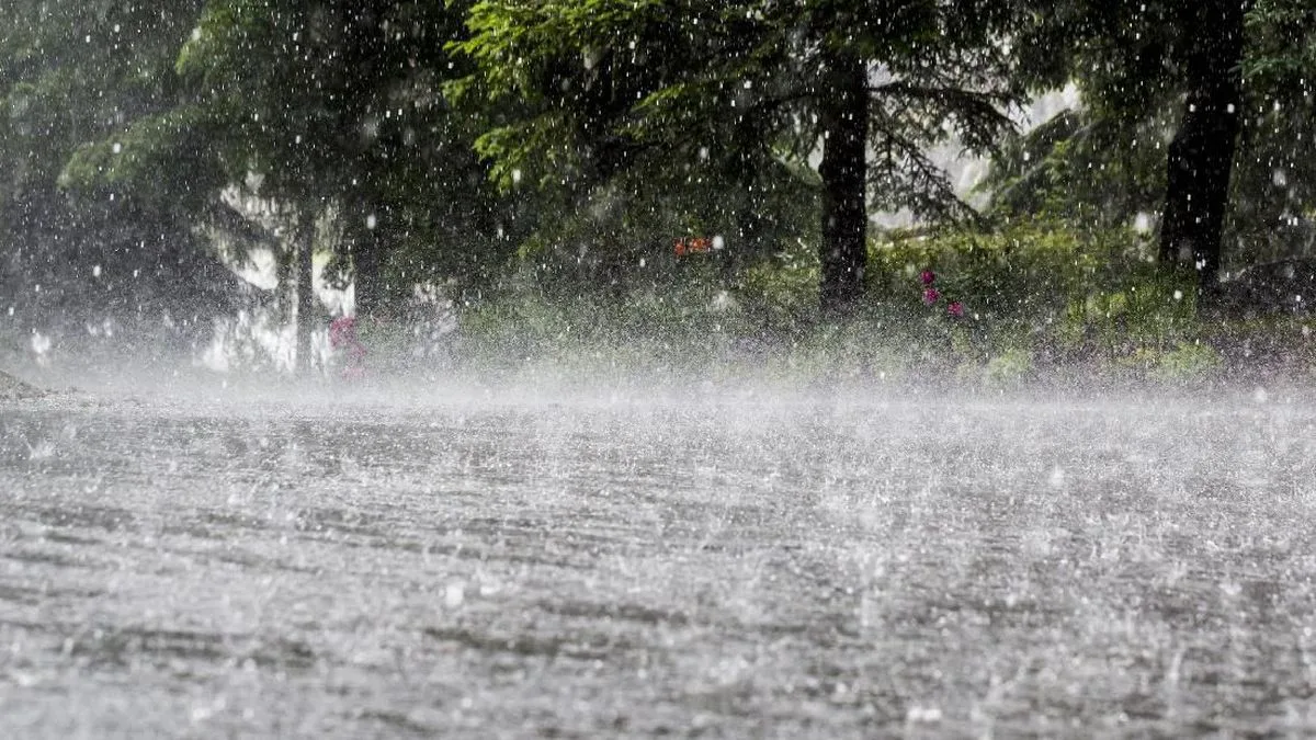 Hujan Deras dan Angin Kencang Landa Sumut, Binjai dan Langkat Terendam Banjir