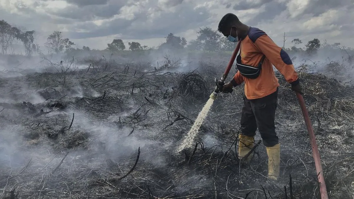 Karhutla Kobar Makin Ganas, Bupati Nurhidayah Desak Pusat Turun Tangan