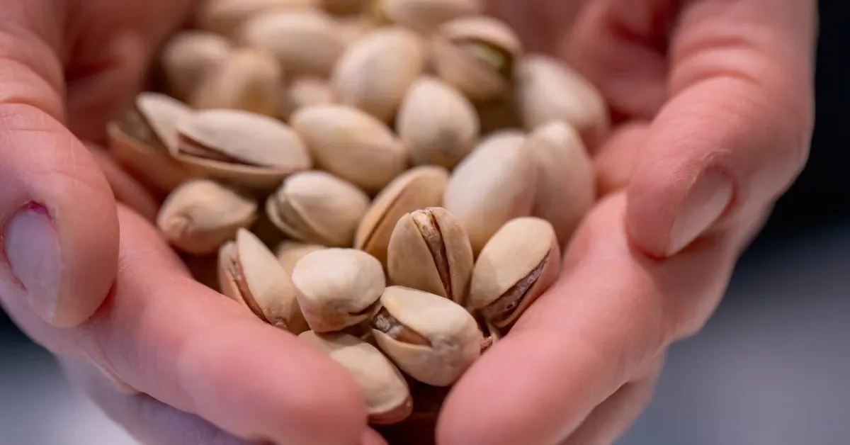 Pistachio dan Janji Tidur Nyenyak: Bukti Ilmiah Masih Jauh dari Cukup