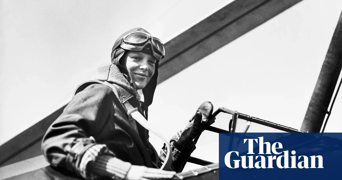 Ekspedisi Purdue Bawa Pulang Tangan Kosong: 'Puing Pesawat' Amelia Earhart Ternyata Tumpukan Pohon