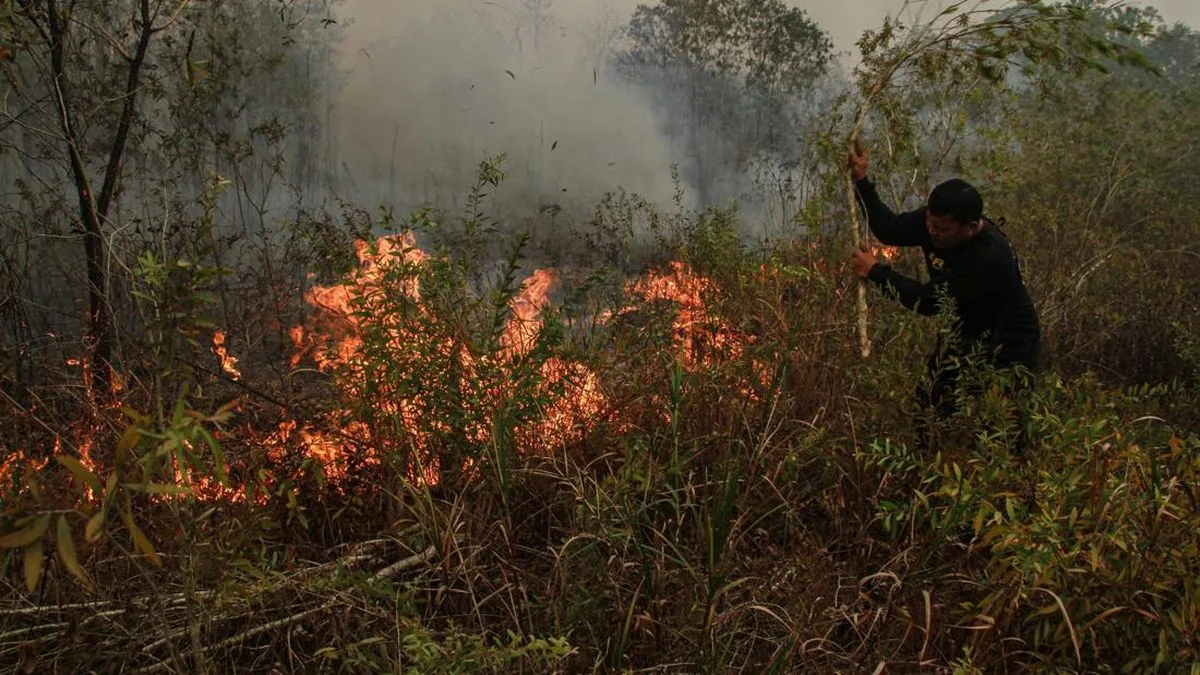 Malaysia Offers Amphibious Aircraft and Helicopter to Help Extinguish Indonesian Forest Fires