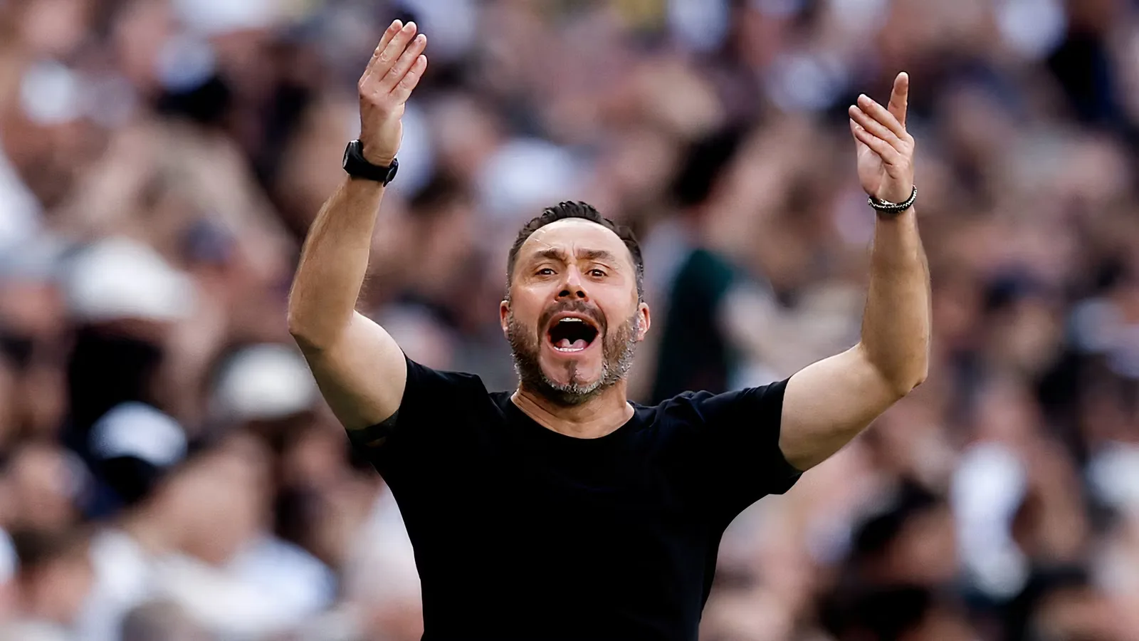 Tel Trusted by De Zerbi: Extra Training Sessions and Signs of Tottenham Revival