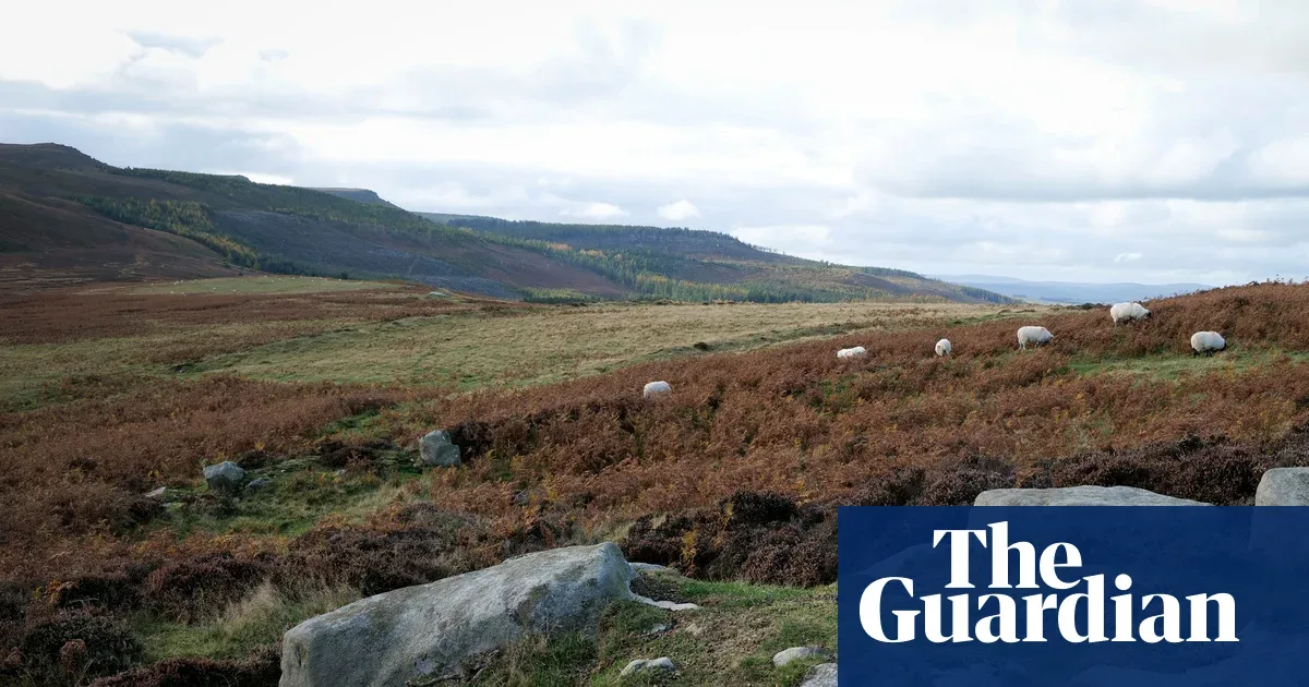 Wildlife Trusts Kumpulkan £30 Juta, Rothbury Estate Jadi Proyek Restorasi Alam Terbesar Inggris